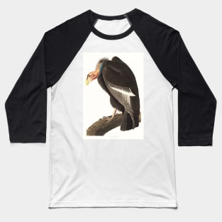 Californian Vulture (1827) Baseball T-Shirt